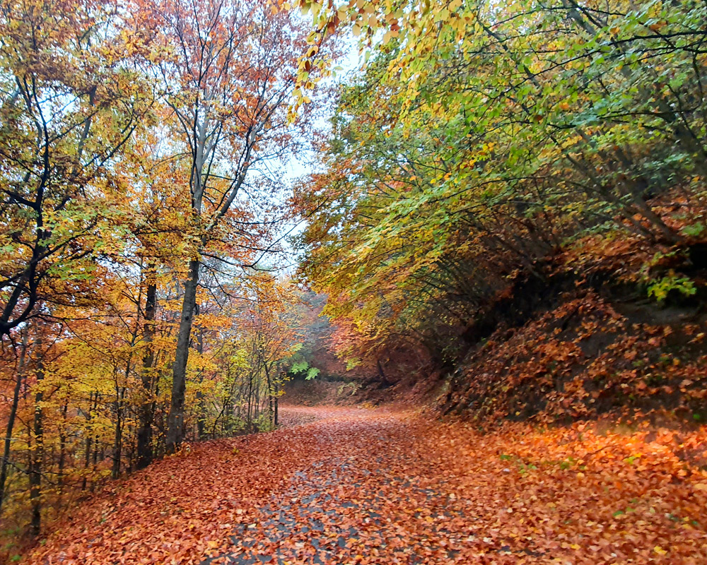 L'enquête anuelle de branche 2024