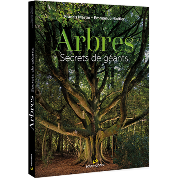 Arbres, secrets de géants