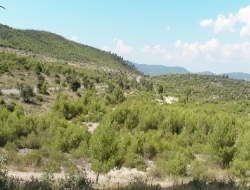 Conférence "Regards croisés sur le vivant en société" - Toulouse