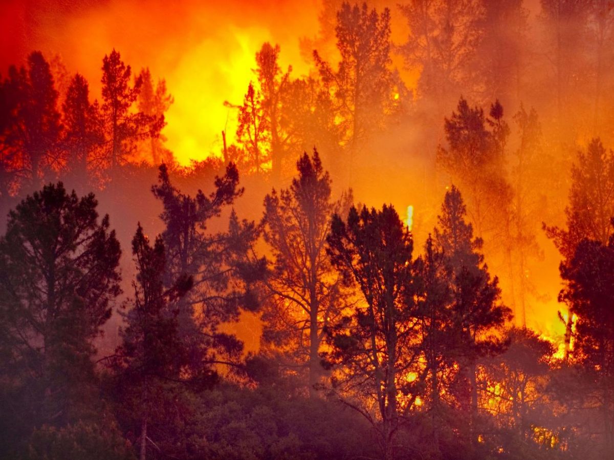 E-learning "Outils intégrés de gestion des incendies pour la prévoyance et la prise de décision"