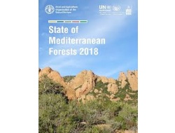 Etat des forêts méditerranéennes - Des surfaces en augmentations mais une forêt de plus en plus menacée