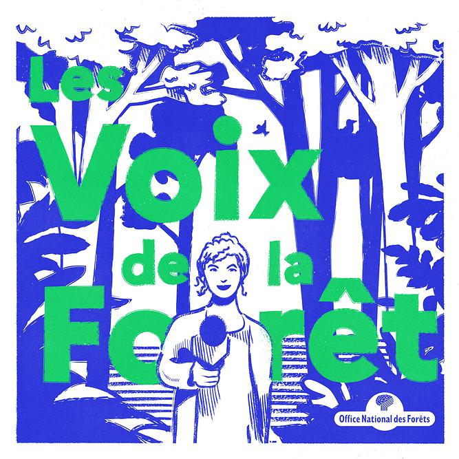 Les voix de la forêt