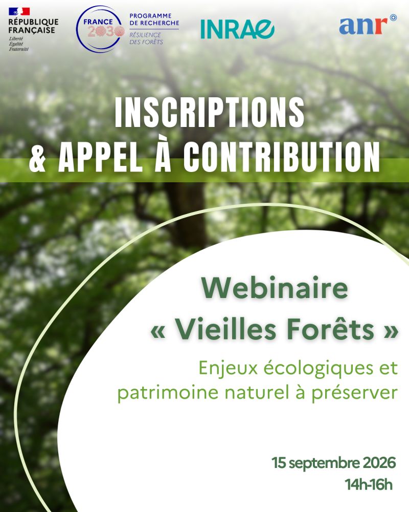 Webinaire "Vieilles Forêts"