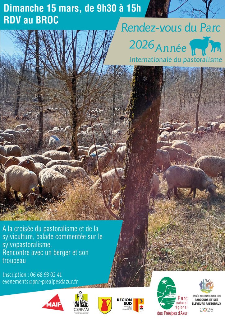 Rencontre avec un berger et son troupeau dans le Parc Naturel Régional des préalpes d'Azur - Le Broc