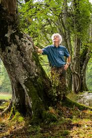 Conférence "Les écosystèmes régénératifs, une vision symbolique du monde pour co-construire le futur" à Marseille