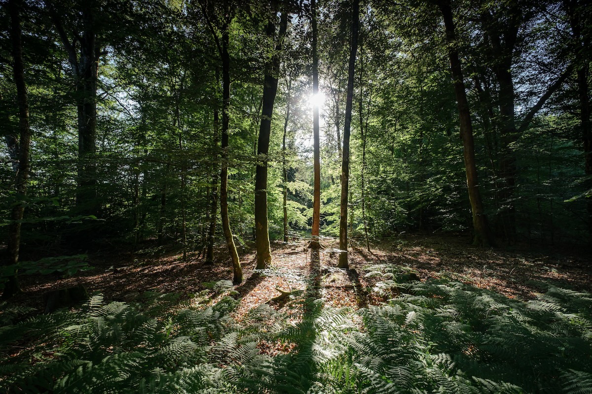 1ères Rencontres Interpros du RAF à Conques-en-Rouergue