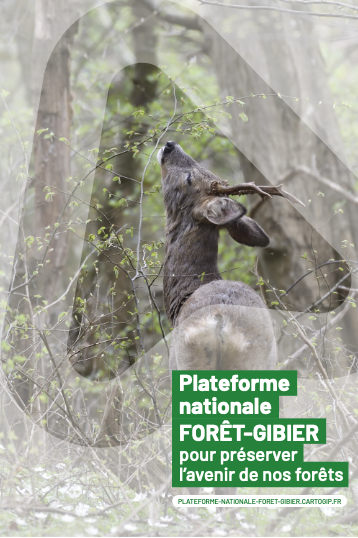 Apprendre à signaler des dégâts de grand gibier ou des reboisements