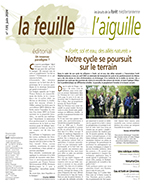 La feuille et l'aiguille, juin 2024