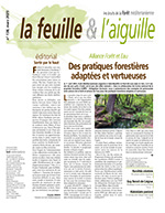 La feuille et l'aiguille, mars 2025