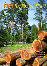 Spécial "Filière bois en région Provence-Alpes-Côte d'Azur"