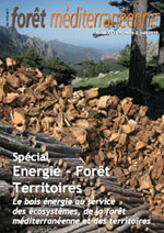 Spécial Energie - Forêt - Territoires