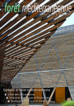 Spécial "Carbone et forêt méditerranéenne"