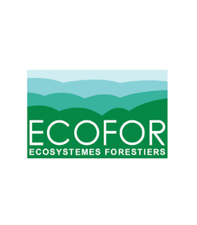 Le GIP Ecofor et le RMT AFORCE publient le résultat de l’expertise sur les coupes rases et le renouvellement des forêts (CRREF)