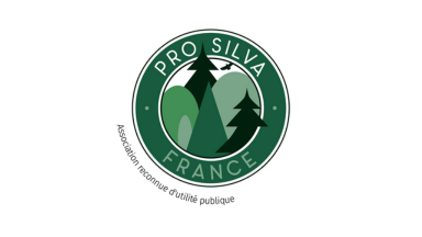 Webinaire "Pourquoi et comment intégrer les éléments de biodiversité en gestion forestière"