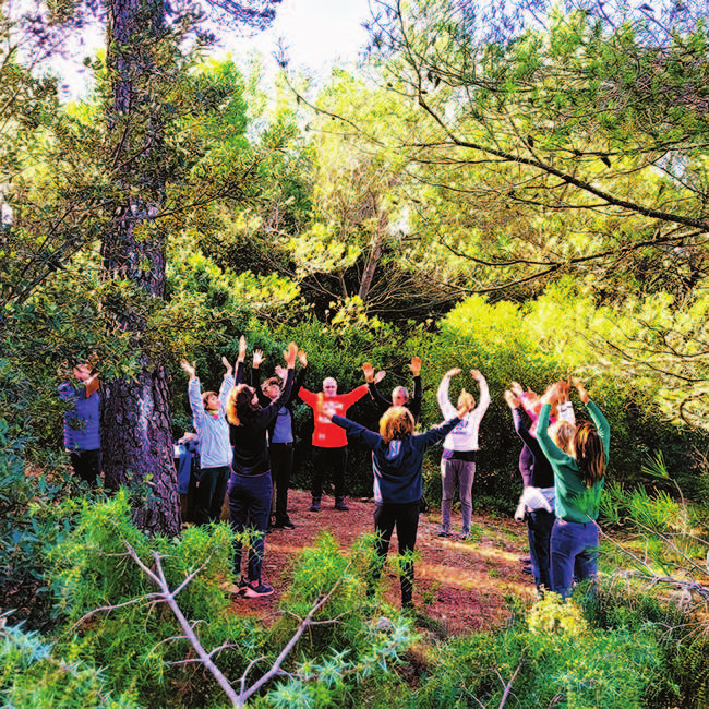 AGORA Forêt et Santé : le bain de forêt, une pratique de santé et de valorisation des espaces forestiers