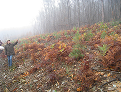 Les Cévennes, terre de rencontre entre l’eau et la forêt : quelles pratiques, quelles expérimentations, quelles perspectives ?