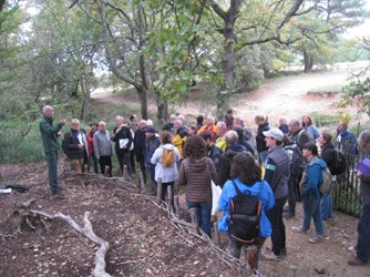 Comment renforcer l’alliance forêt et eau ? L’exemple du bassin versant de l’Arc