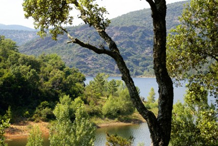 Forêt, eau et risques : enjeux et solutions