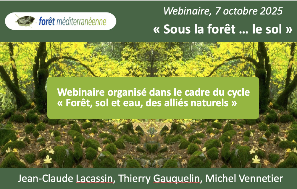 Replay du webinaire "Sous la forêt.. le sol" disponible