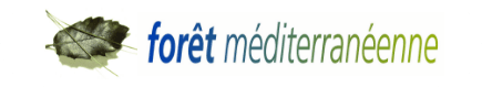 Forêt Méditerranéenne